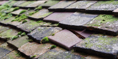 Ely roof repair costs